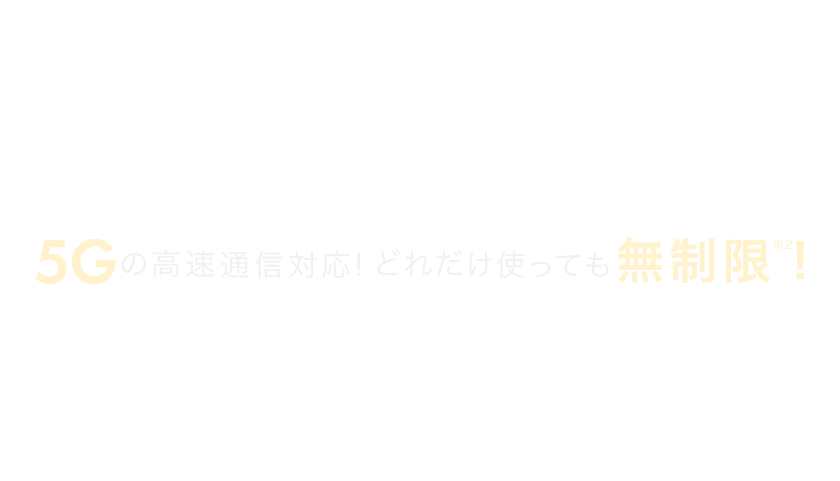 home 5Gの月額料金