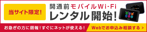 レンタル開始！