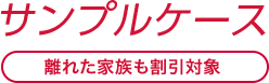 サンプルケース