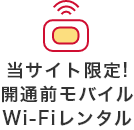 モバイルWi-Fiレンタルサービス